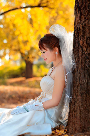 半岛.体育BANDAO SPORTS